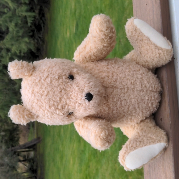 Disney Other - Gund Winnie the Pooh